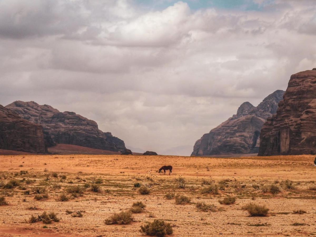 Wadi Rum Exterior foto