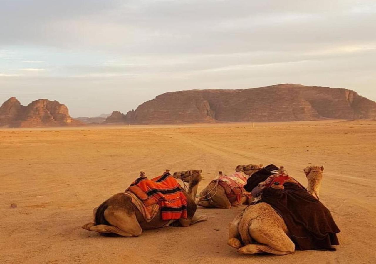 Wadi Rum Exterior foto