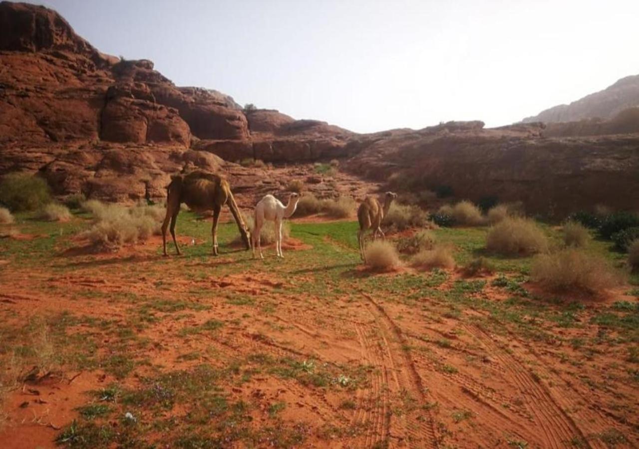 Wadi Rum Exterior foto